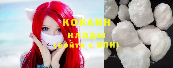 твердый Богданович