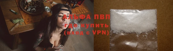 твердый Богданович