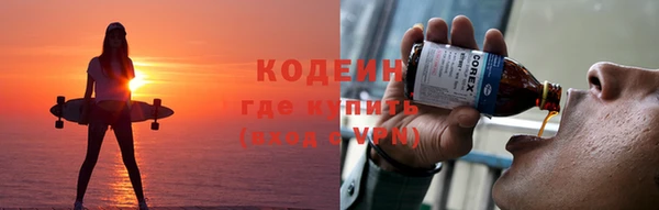твердый Богданович