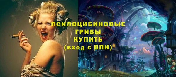 мдпв Бугульма
