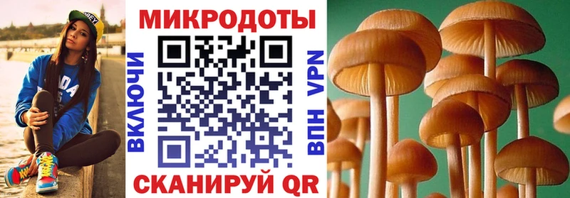 Галлюциногенные грибы мицелий  сайты даркнета какой сайт  Мелеуз 