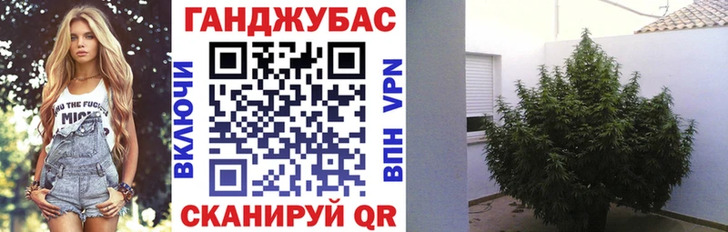 Бошки Шишки планчик Мелеуз
